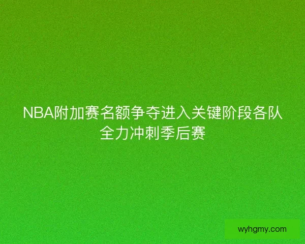 NBA附加赛名额争夺进入关键阶段各队全力冲刺季后赛