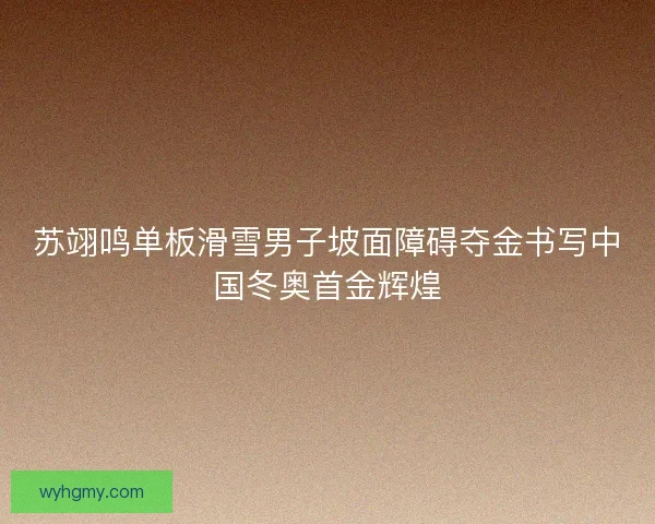 苏翊鸣单板滑雪男子坡面障碍夺金书写中国冬奥首金辉煌 苏翊鸣单板滑雪男子坡面障碍夺金书写中国冬奥首金辉煌