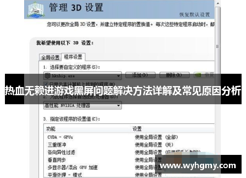 热血无赖进游戏黑屏问题解决方法详解及常见原因分析